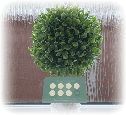 Pure Harmony Beauty & More, loyalty card against a small indoor tree
